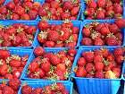 Bild: Erdbeeren 01nbsp;– Klick zum Vergrößern